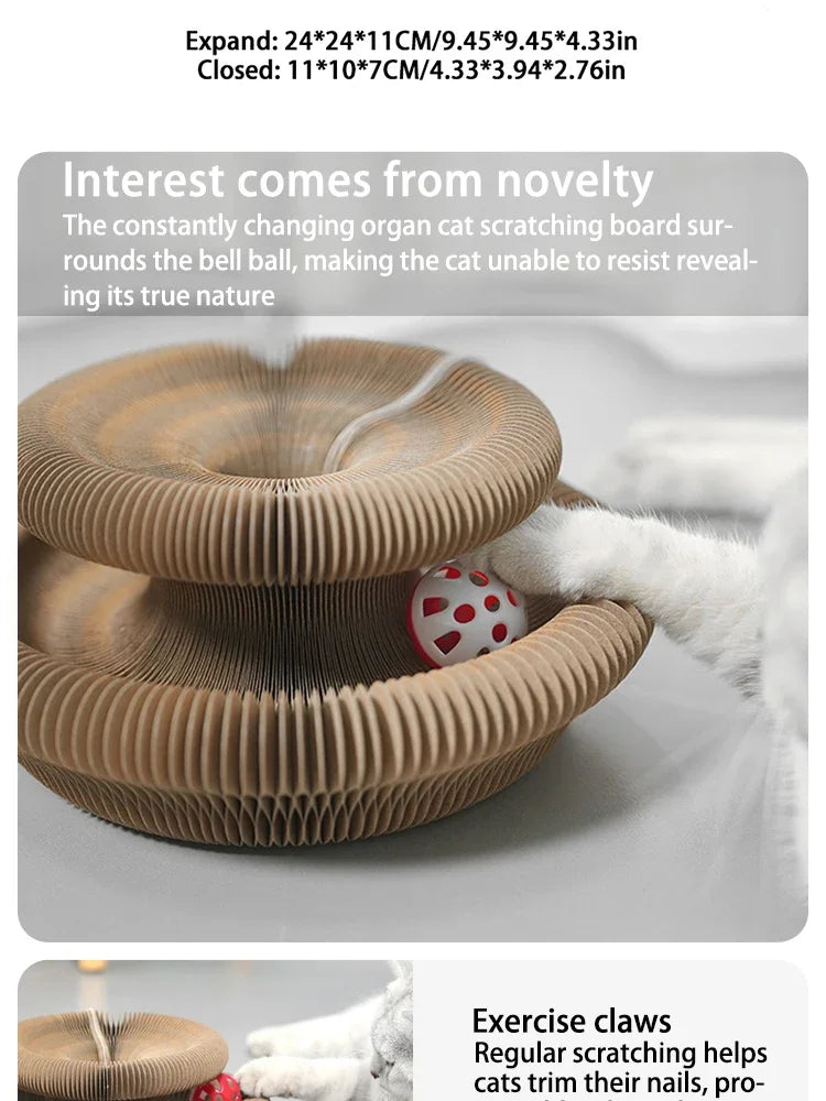 Transformable Cat Scratching Board - Magnetic Corrugated Cardboard Scratcher with Interactive Bell