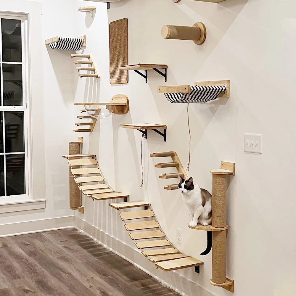 Modular Cat Wall Climbing System - Natural Wood Wall-Mounted Shelves, Steps & Hideaways