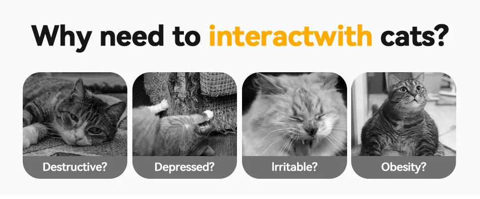 ROJECO 3-in-1 Automatic Interactive Cat Toy - Wireless Feather Teaser with Track Ball & Ambush Play System