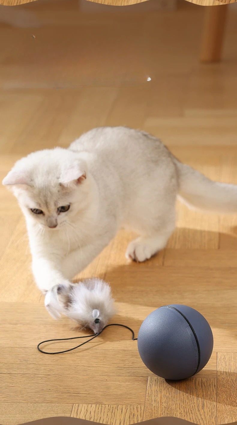 Interactive Self-Rolling Cat Ball Toy with Motion Sensor - Automatic Smart Ball for Indoor Cats and Kittens