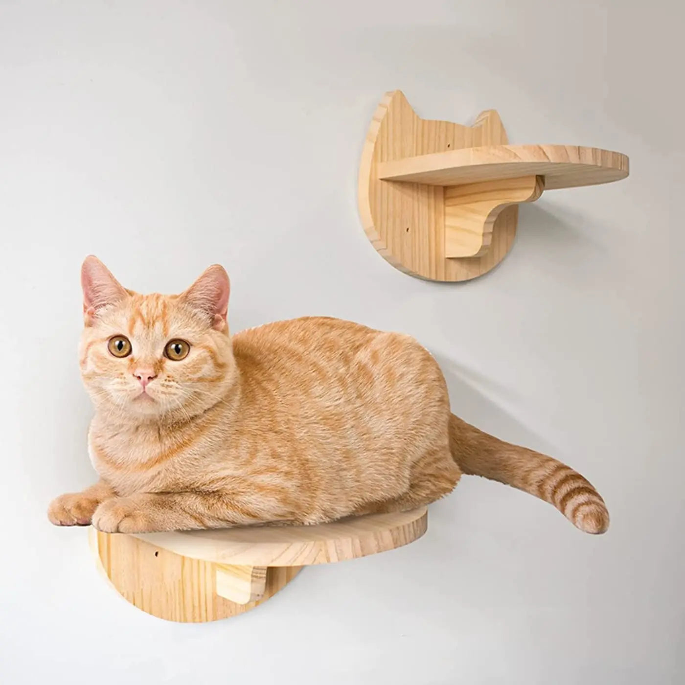 Premium Wooden Cat Wall Furniture Set - Multi-Level Climbing Shelves, Hammocks & Scratching Posts for Indoor Cats