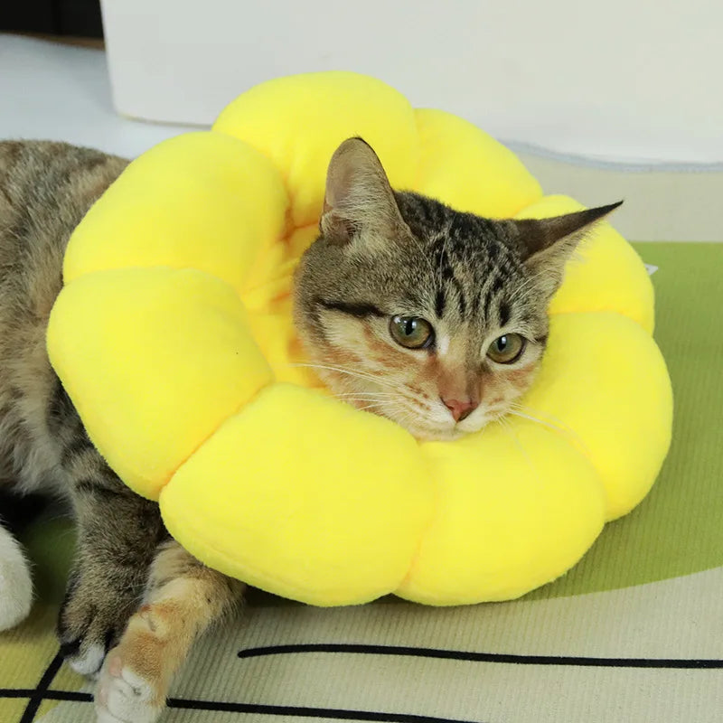 Sunflower Recovery Collar for Cats - Soft Padded Elizabethan Cone Alternative, Adjustable Post-Surgery Protection Collar