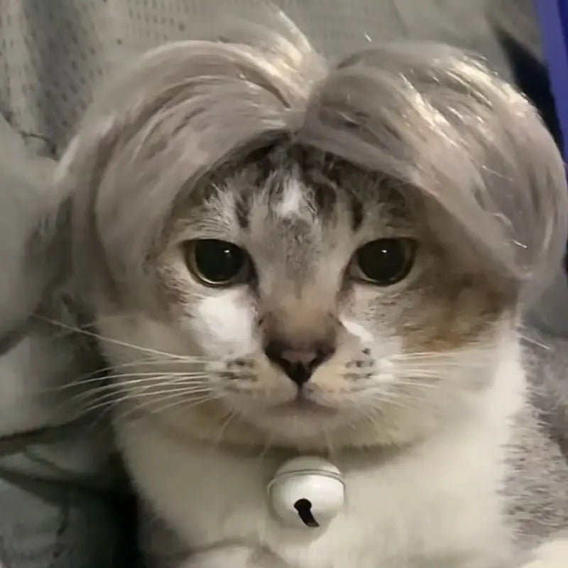 Cat Wig Headpiece - Funny Pet Costume Accessory for Parties and Photos