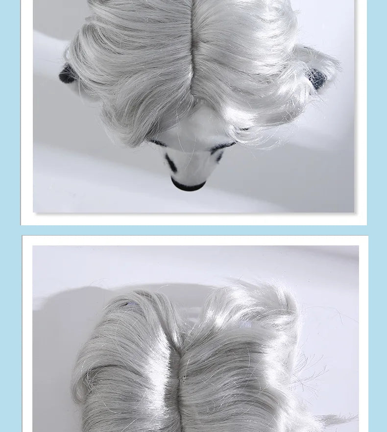 Cat Wig Headpiece - Funny Pet Costume Accessory for Parties and Photos