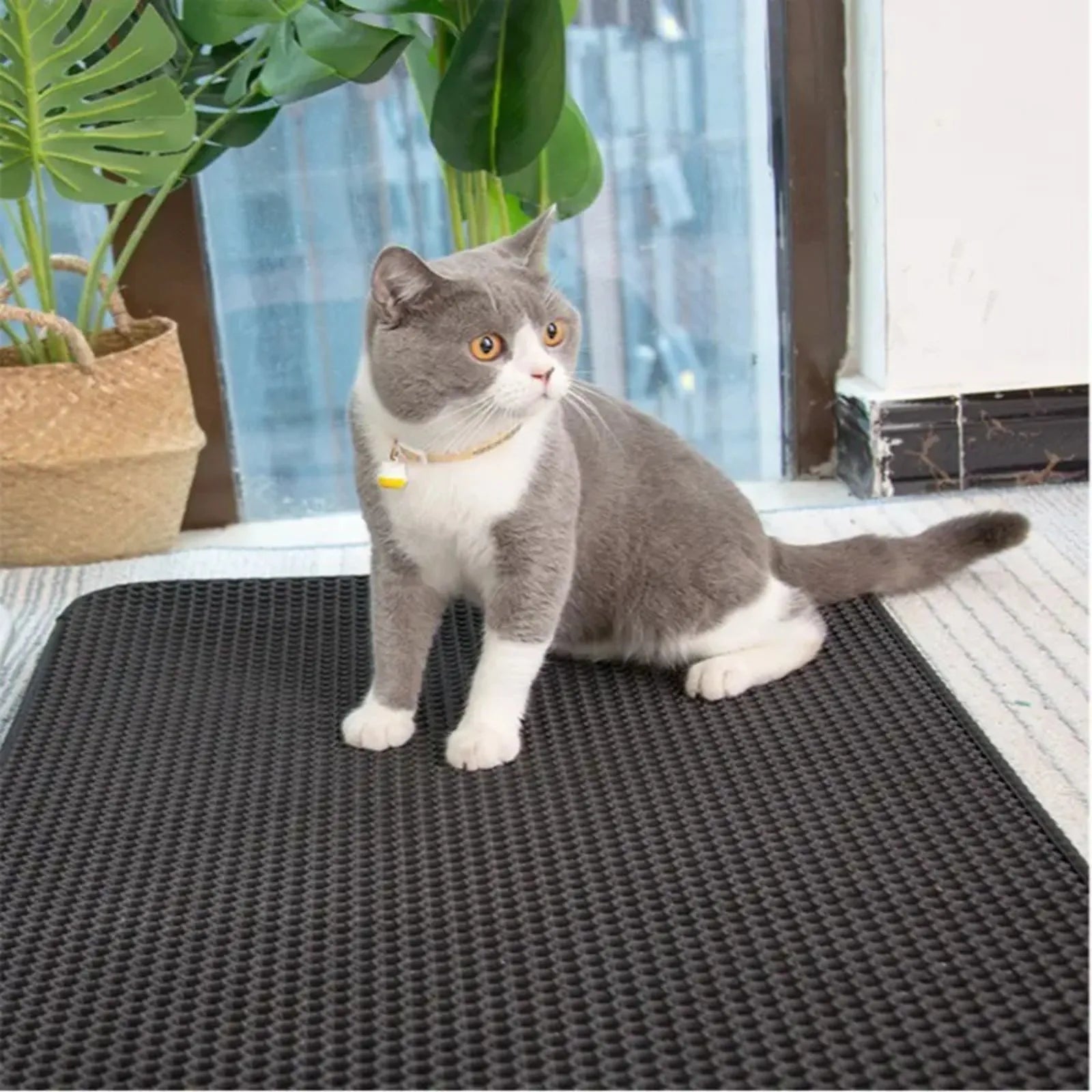Premium Double-Layer Cat Litter Mat - Non-Slip Honeycomb Design with Superior Tracking Control