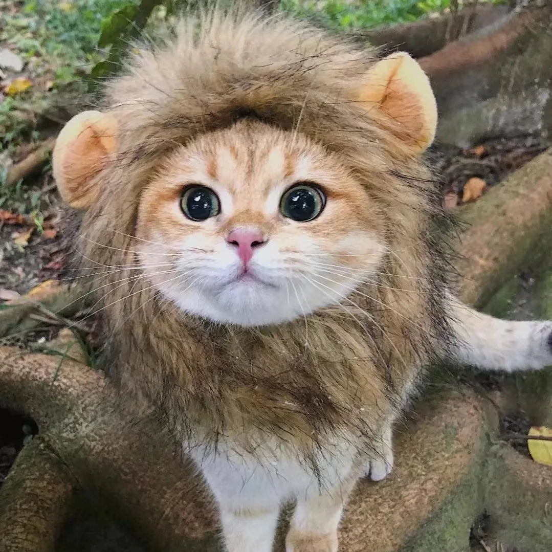Lion Mane Cat Costume - Adorable Fancy Dress Wig