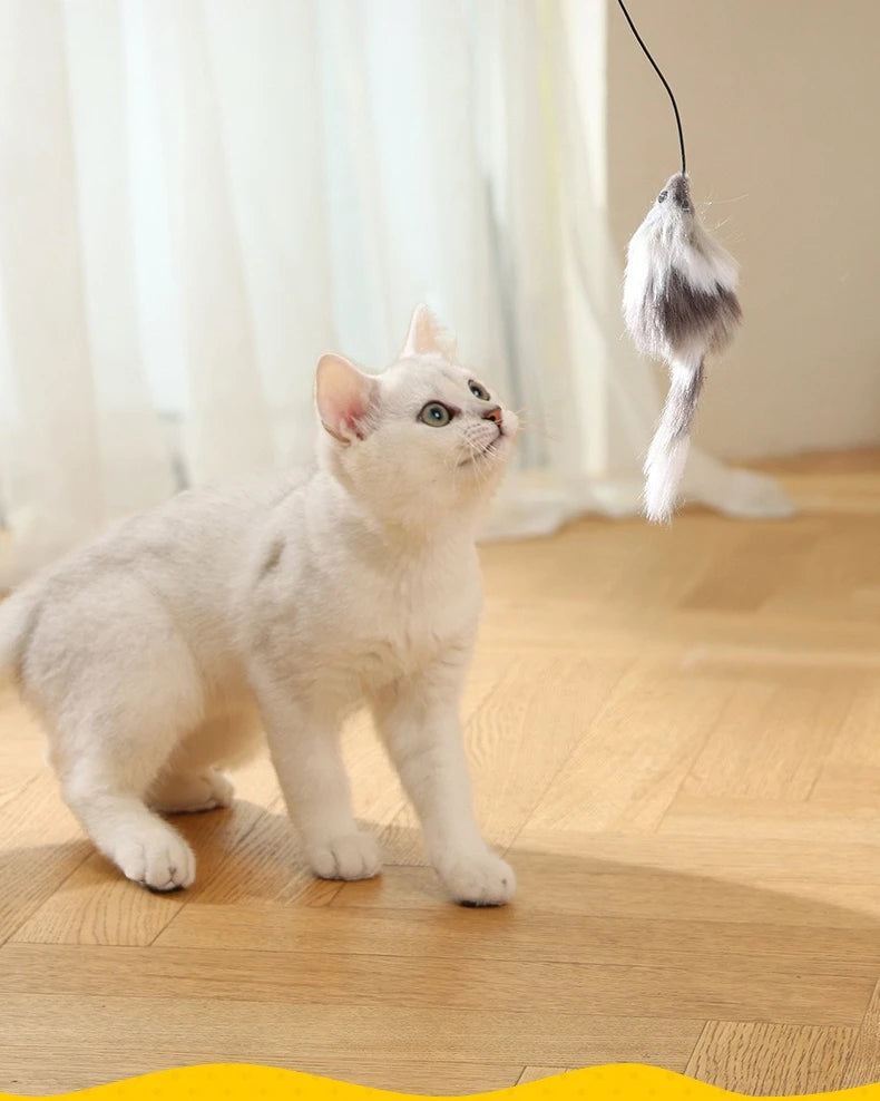 Interactive Self-Rolling Cat Ball Toy with Motion Sensor - Automatic Smart Ball for Indoor Cats and Kittens