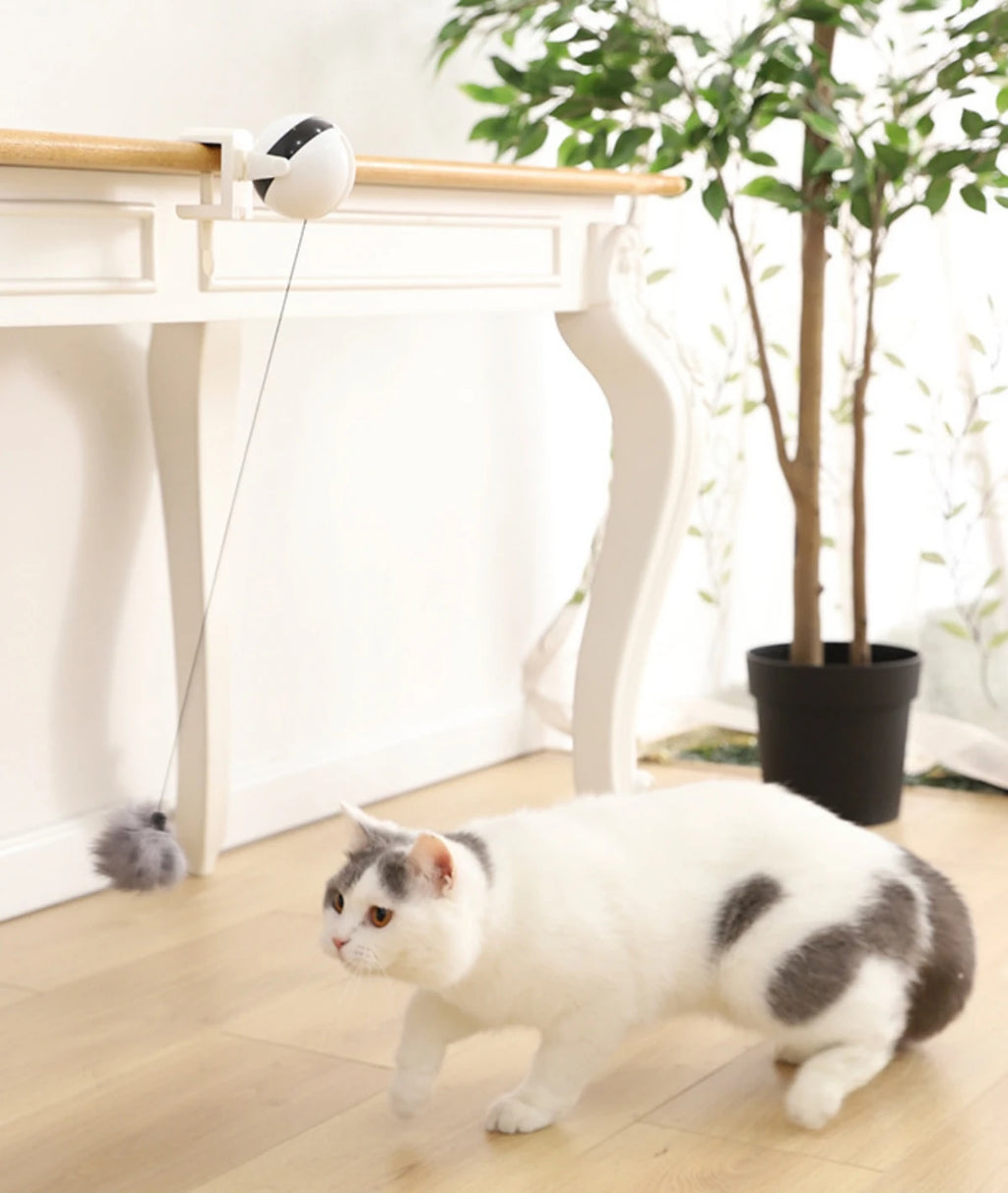 Automatic Lifting Ball Cat Toy - Interactive Electric Teaser with Rotating Motion