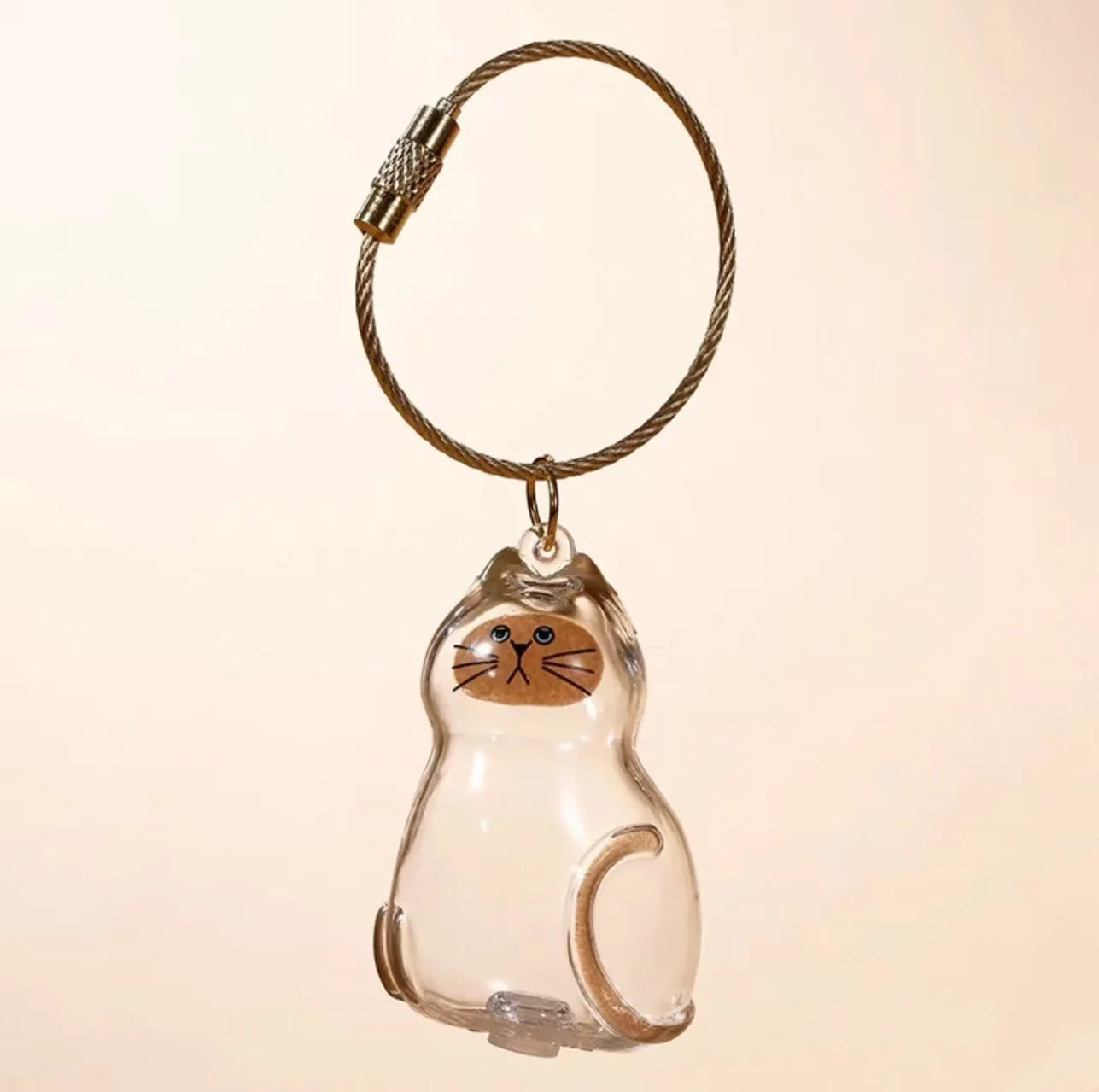 Cat Fur Keepsake Keyring - Transparent Pet Hair Storage Bottle Memorial Gift (Pack of 1/6)