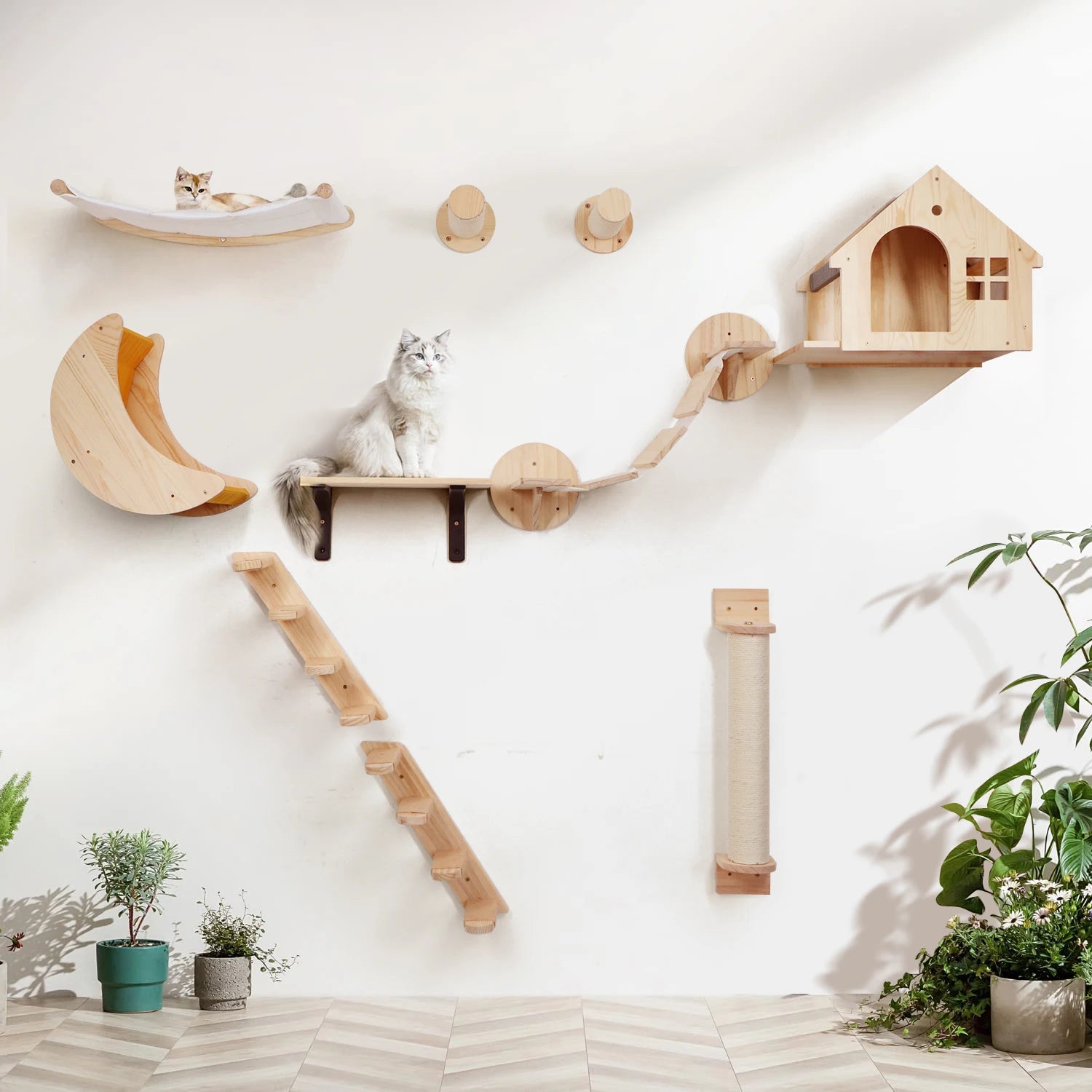 Modular Cat Wall Climbing System - Natural Wood Wall-Mounted Shelves, Steps & Hideaways