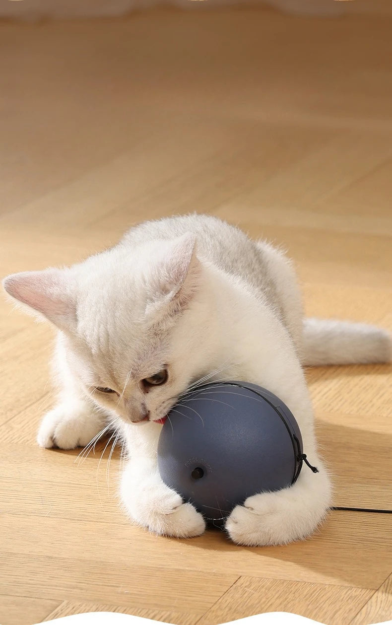 Interactive Self-Rolling Cat Ball Toy with Motion Sensor - Automatic Smart Ball for Indoor Cats and Kittens