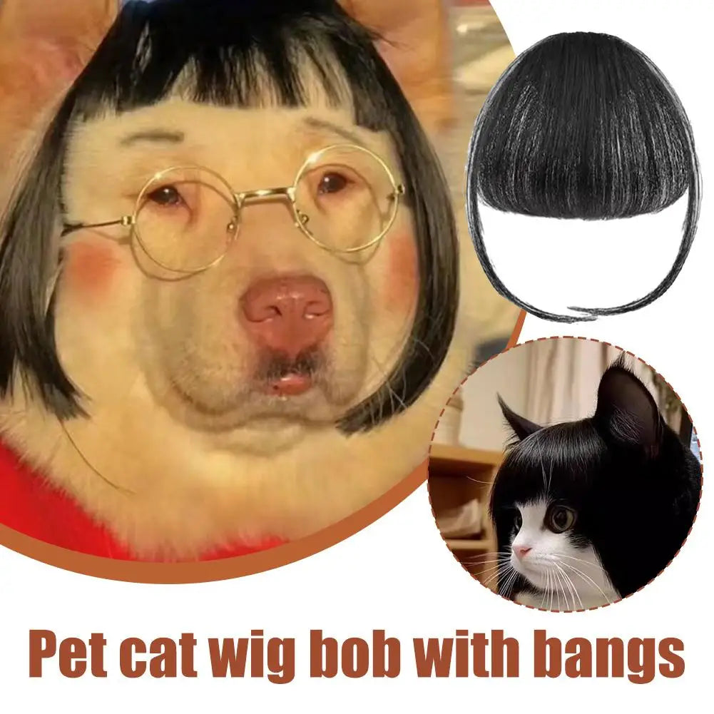 Cat Wig with Fringe - Funny Costume Accessory for Cats | Cute Pet Dress-Up Headwear