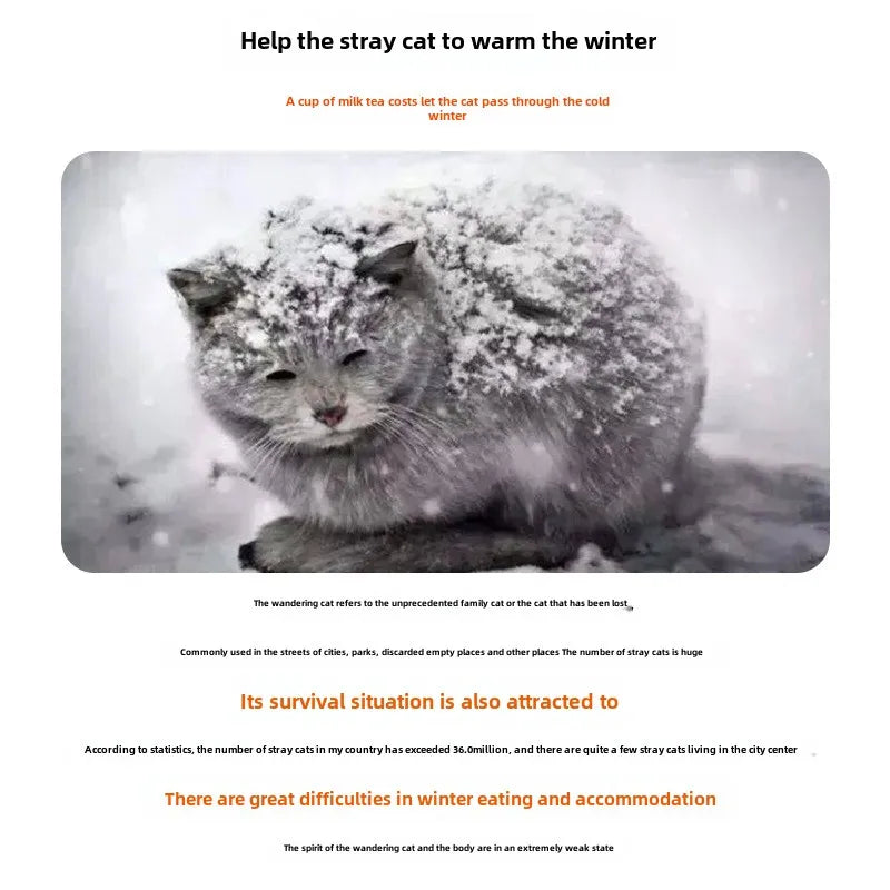 Waterproof Outdoor Cat House - Insulated Shelter with Foldable Washable Plush Bed for Cats