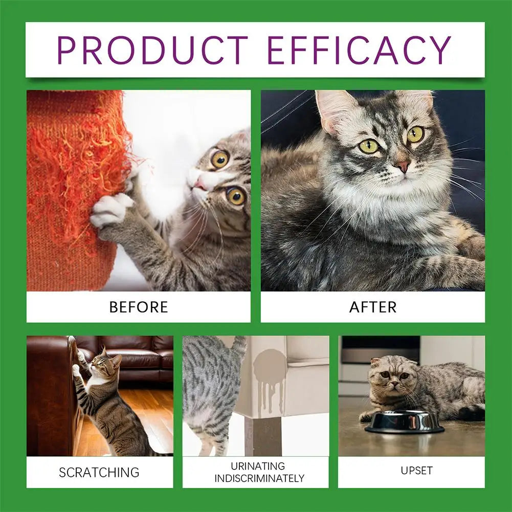 3Pcs/lot Cat Calming Diffuser Kit Refill Calming Mood Relaxing Anti Anxiety Stress Soothing Comforting Pets Pheromone