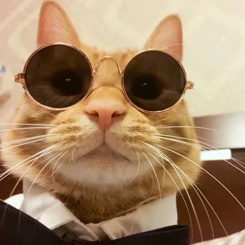 Cat Sunglasses with UV Protection - Cute Pet Photo Props for Cats & Small Dogs