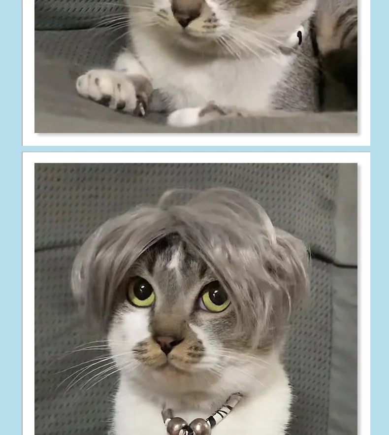 Cat Wig Headpiece - Funny Pet Costume Accessory for Parties and Photos
