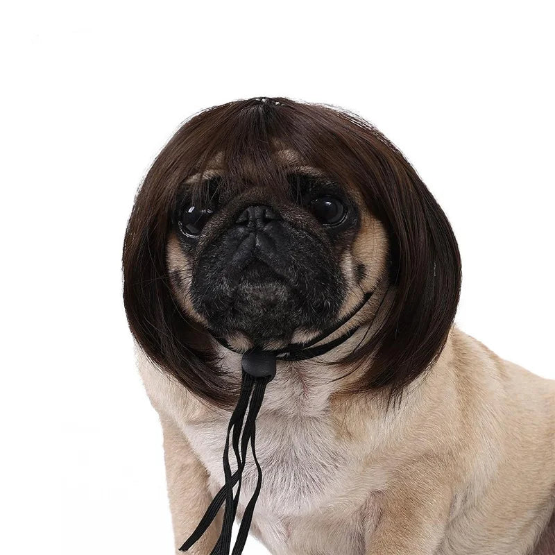 Handwoven Cat Wig - Novelty Pet Costume Accessory