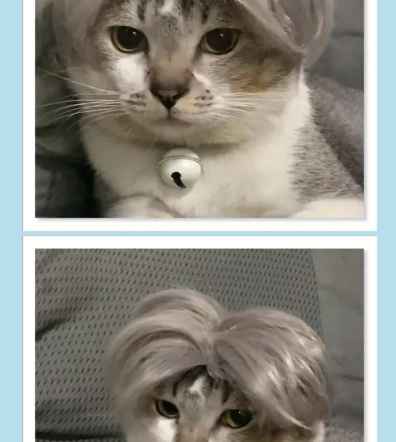 Cat Wig Headpiece - Funny Pet Costume Accessory for Parties and Photos