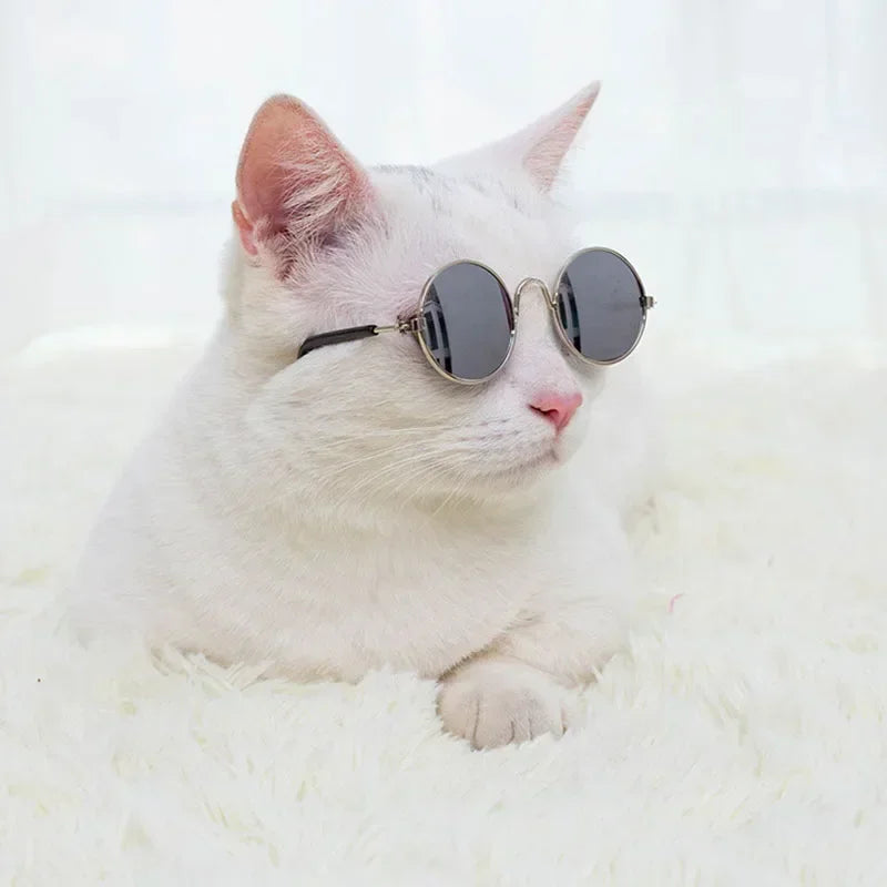 Cat Sunglasses with UV Protection - Cute Pet Photo Props for Cats & Small Dogs