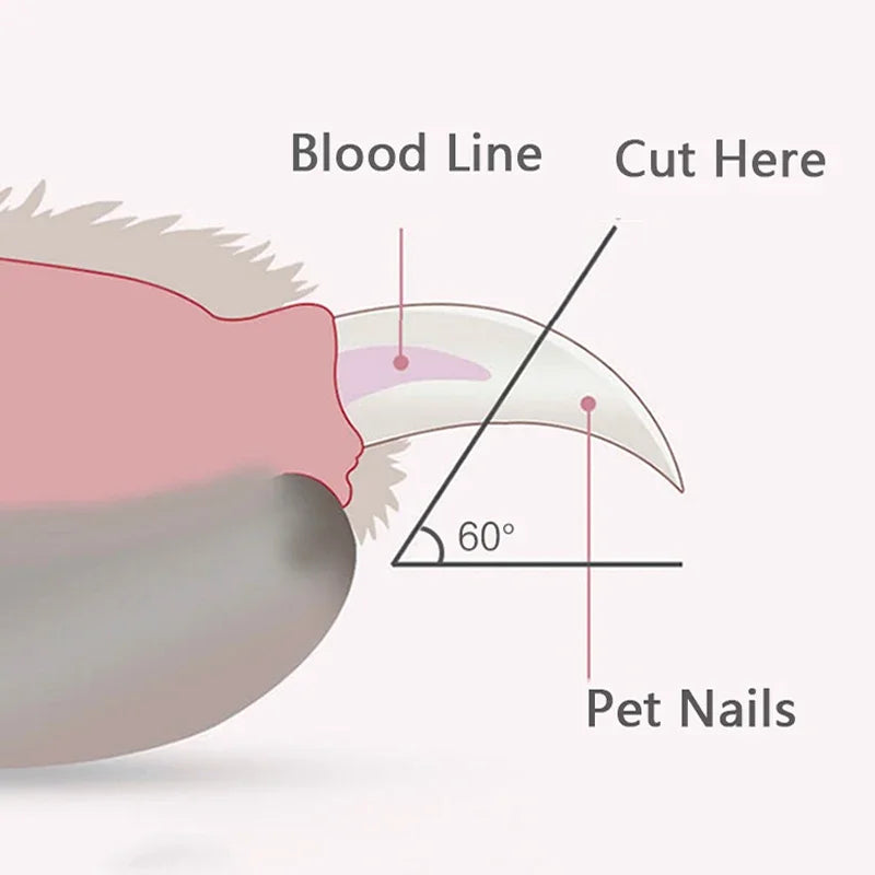 LED Pet Nail Clippers - Professional Illuminated Grooming Scissors for Cats & Small Pets
