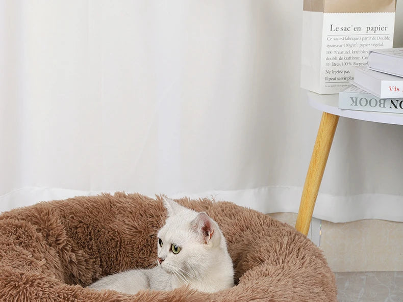 Luxurious Round Plush Cat Bed - Cosy Donut Design with Removable Washable Cover