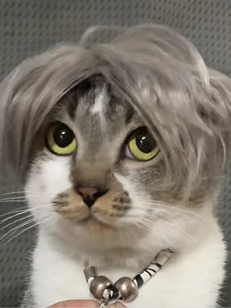 Cat Wig Headpiece - Funny Pet Costume Accessory for Parties and Photos