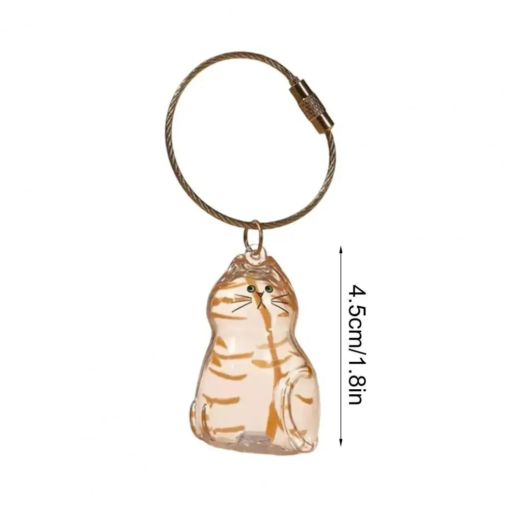 Cat Fur Keepsake Keyring - Transparent Pet Hair Storage Bottle Memorial Gift (Pack of 1/6)