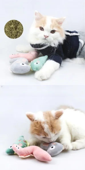 Catnip Plush Cat Toy - Soft Bite-Resistant Cartoon Animal for Dental Health, Play & Comfort