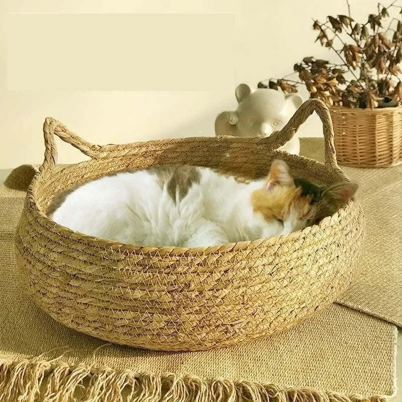Handwoven Natural Cat Bed - Removable Cushion with Year-Round Comfort & Easy-Wash Design