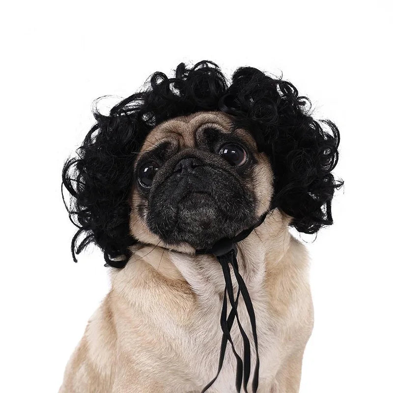 Handwoven Cat Wig - Novelty Pet Costume Accessory
