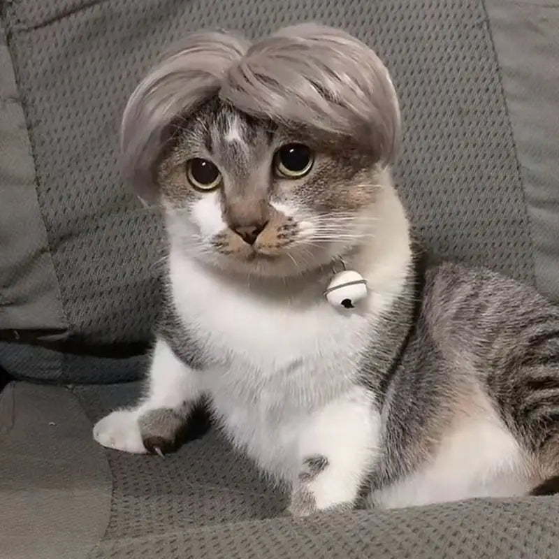 Cat Wig Headpiece - Funny Pet Costume Accessory for Parties and Photos