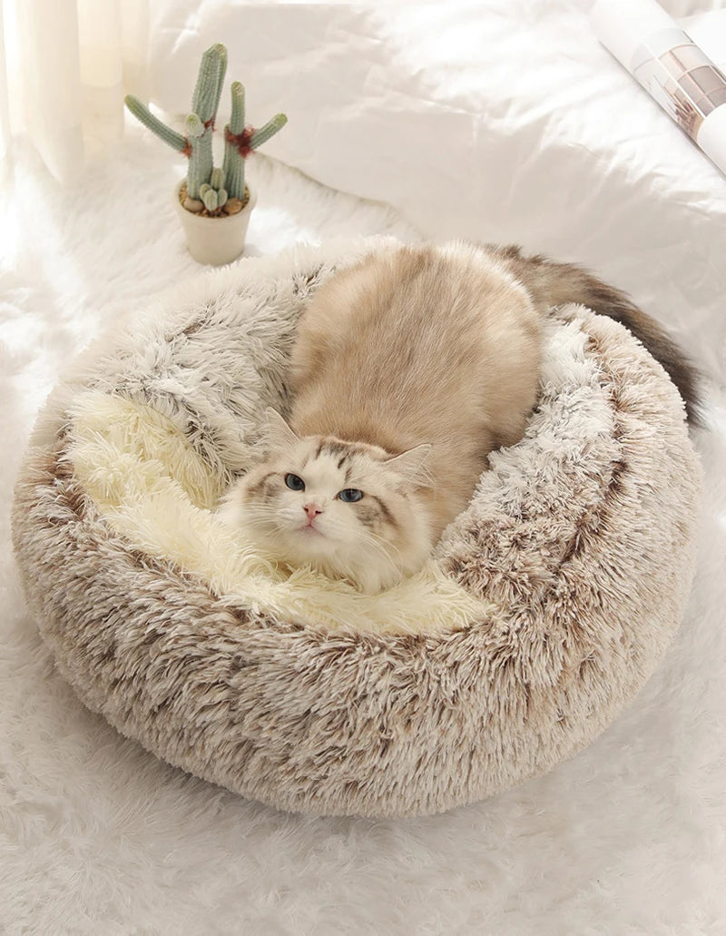 2-in-1 Plush Cave Cat Bed - Convertible Hooded Pet Nest with Removable Cover for Small Cats & Dogs