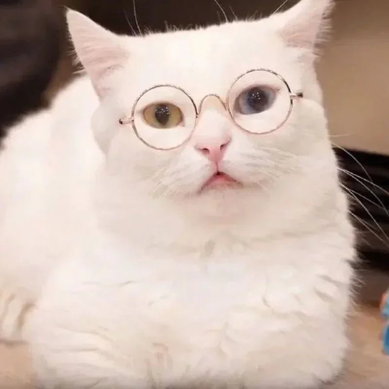 Cat Sunglasses with UV Protection - Cute Pet Photo Props for Cats & Small Dogs