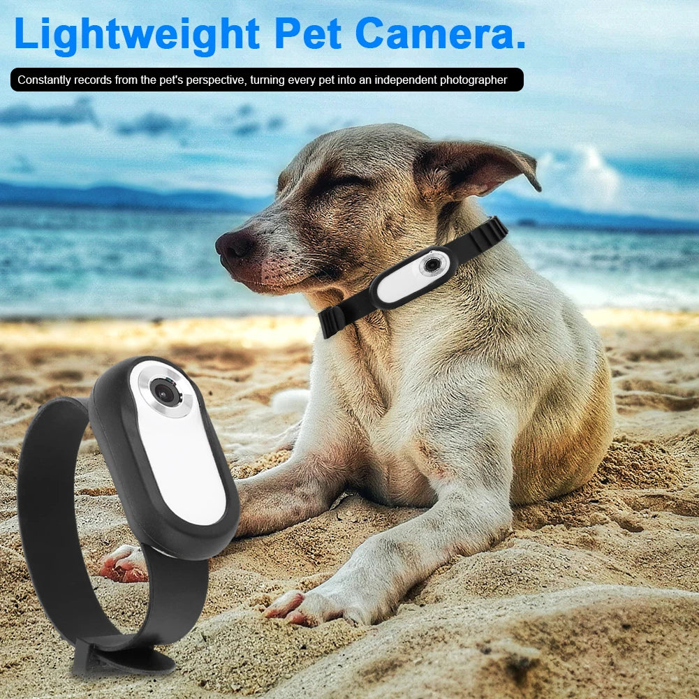 Pet Collar Camera - HD 1080P Wireless Action Camera with Silicone Collar & LCD Screen