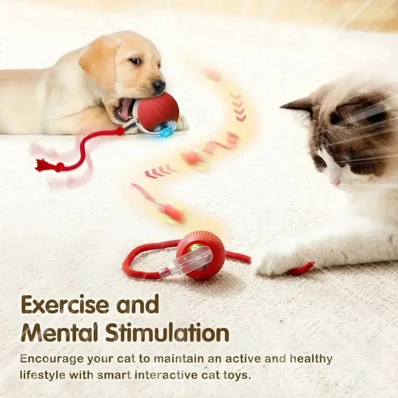 Smart Interactive Cat Ball - USB Rechargeable Auto-Rolling Toy with Intelligent Motion Sensors