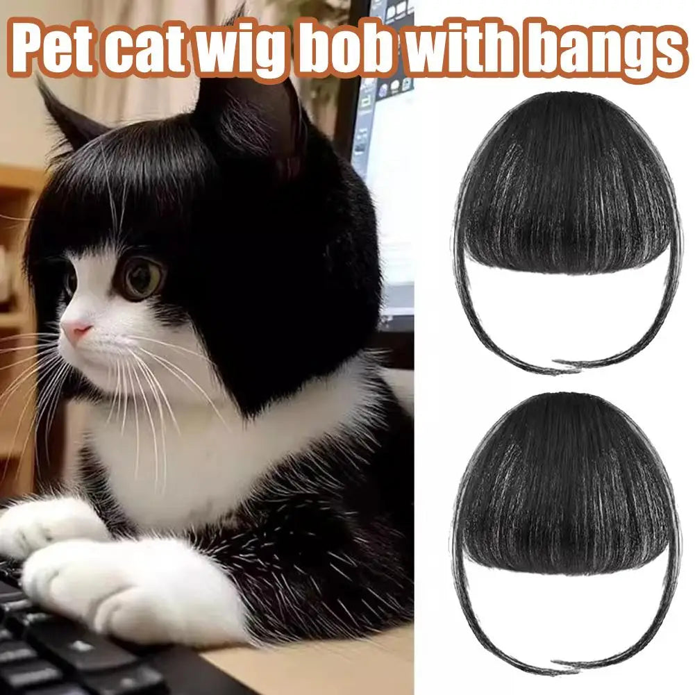 Cat Wig with Fringe - Funny Costume Accessory for Cats | Cute Pet Dress-Up Headwear