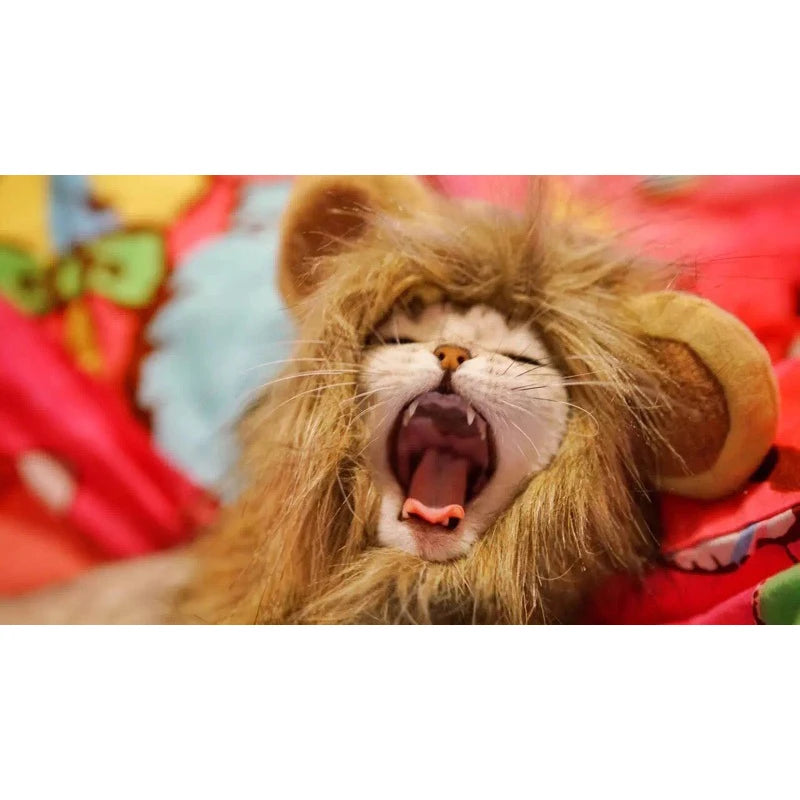 Lion Mane Cat Costume - Adorable Fancy Dress Wig