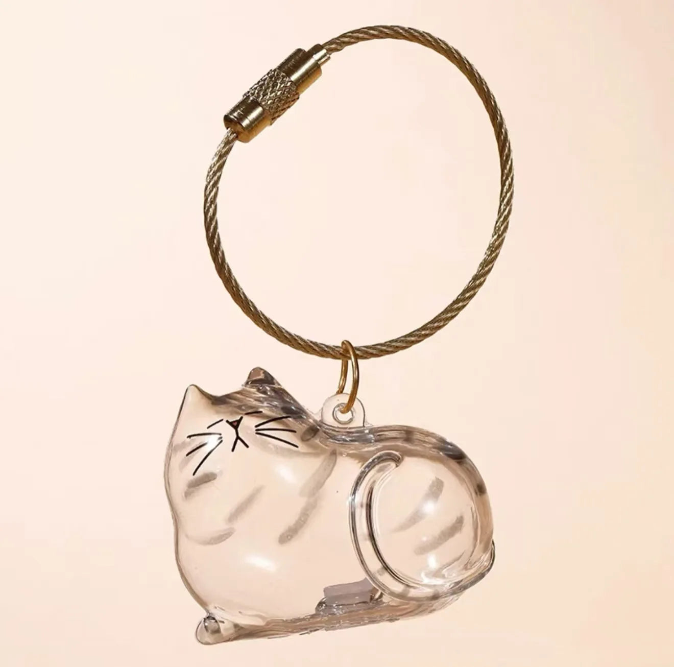 Cat Fur Keepsake Keyring - Transparent Pet Hair Storage Bottle Memorial Gift (Pack of 1/6)