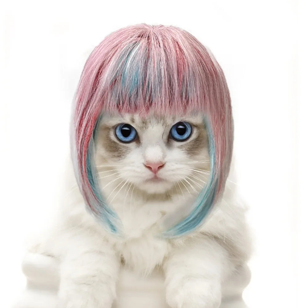 Fantasy Long Hair Wig Cosplay Accessory for Cats