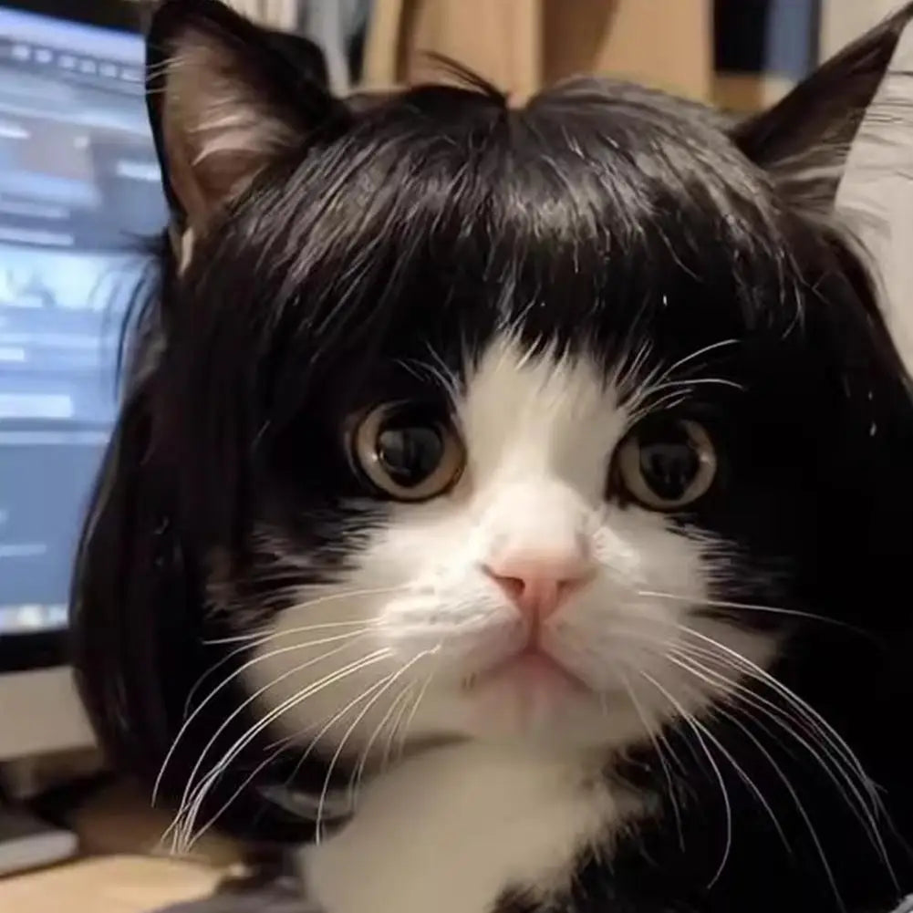 Cat Wig with Fringe - Funny Costume Accessory for Cats | Cute Pet Dress-Up Headwear