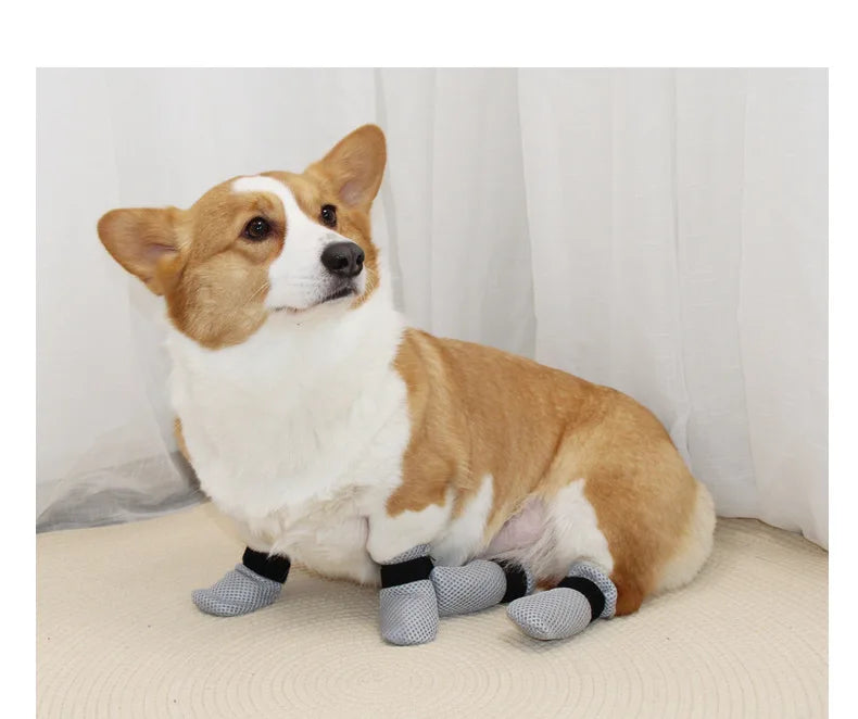 Cat Paw Protector Socks - Soft Anti-Scratch Booties with Secure Velcro Fastening for Indoor Cats