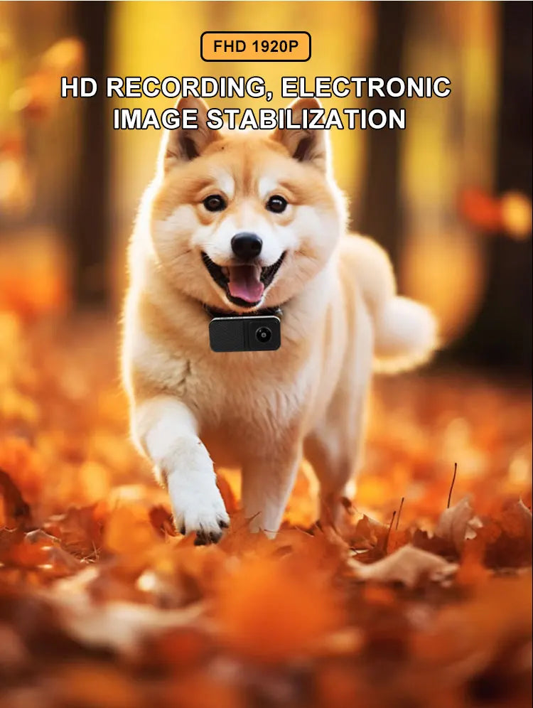 HD Pet Collar Camera - 1080P Wearable Video Recorder for Cats & Dogs with 170° Wide Angle Lens