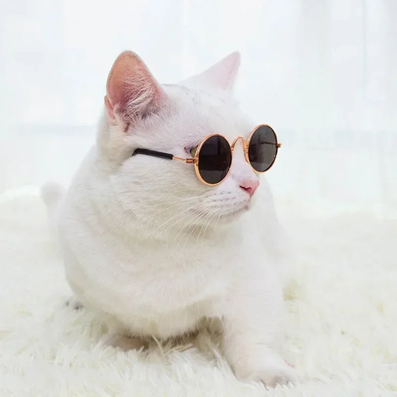 Cat Sunglasses with UV Protection - Cute Pet Photo Props for Cats & Small Dogs