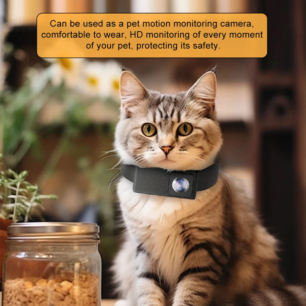 HD Pet Collar Camera - 1080P Wearable Video Recorder for Cats & Dogs with 170° Wide Angle Lens