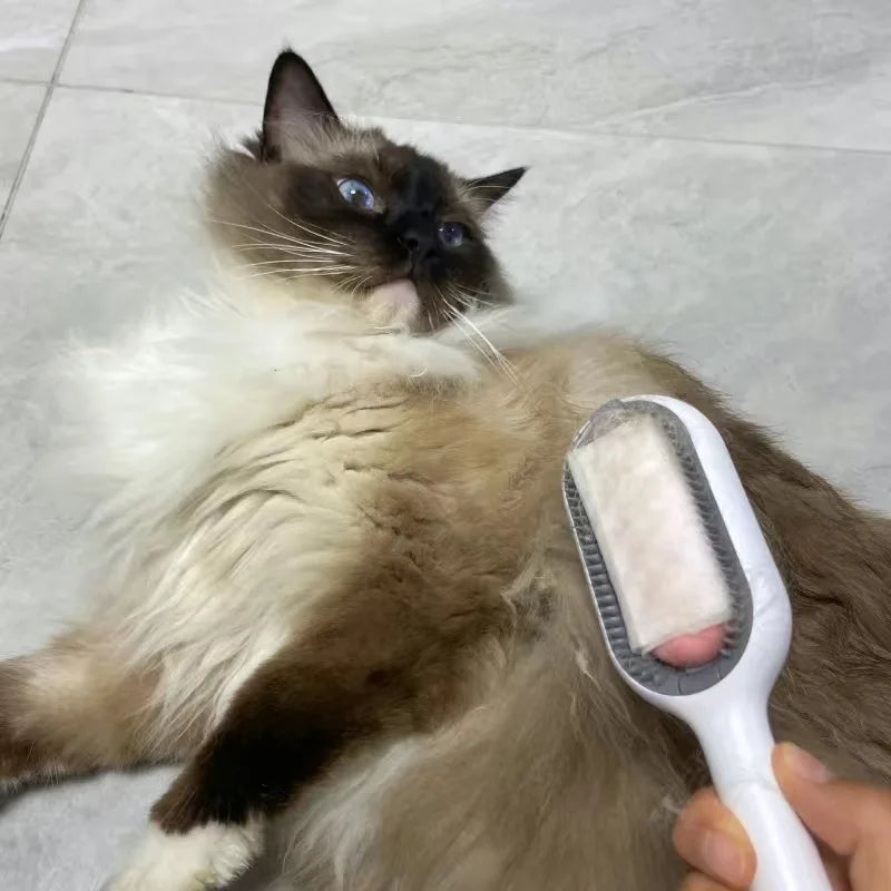Double-Sided Cat Hair Removal Brush with Cleaning Wipes
