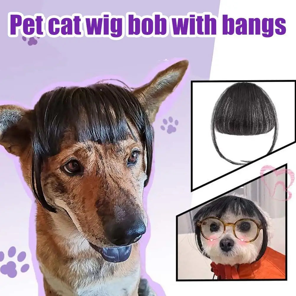 Cat Wig with Fringe - Funny Costume Accessory for Cats | Cute Pet Dress-Up Headwear