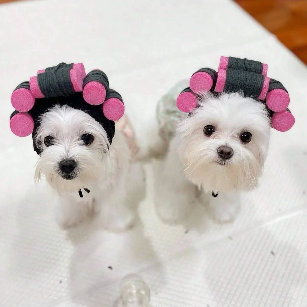 Cat Curler Hat - Adjustable Novelty Pet Headwear with Pink Hair Rollers