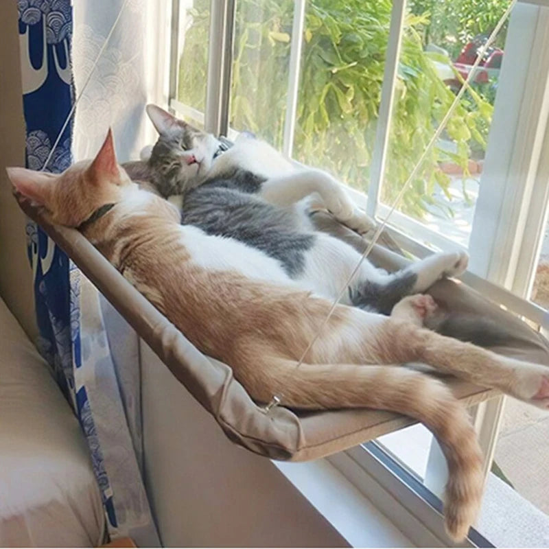 Window Cat Hammock - Suction Cup Mounted Sunny Perch with 20kg Weight Capacity