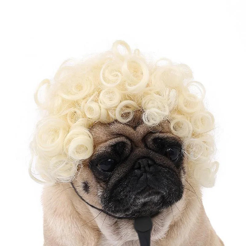 Handwoven Cat Wig - Novelty Pet Costume Accessory