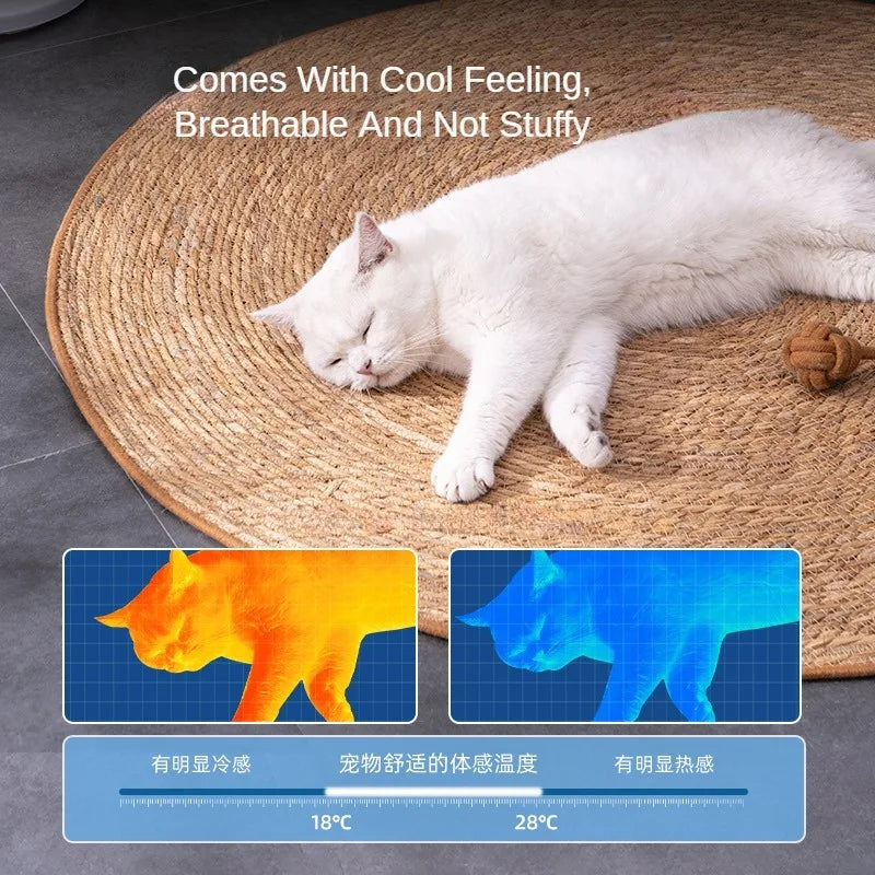Natural Rattan Cat Scratching Mat - Woven Fibre Scratch Pad for Nail Care & Furniture Protection
